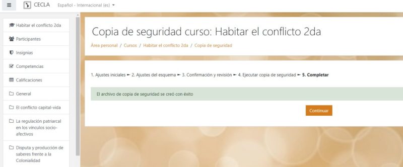 copia de seguridad2